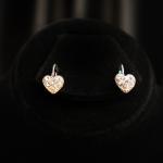 Heartfelt Earrings